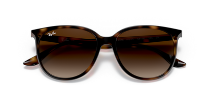 Havana - 0RB4378 8056597626897