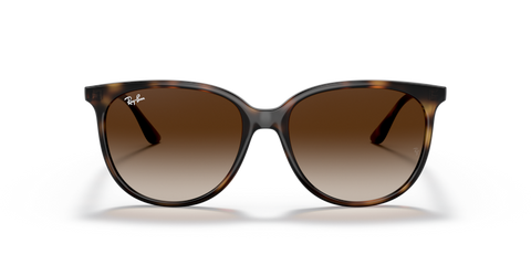 Havana - 0RB4378 8056597626897