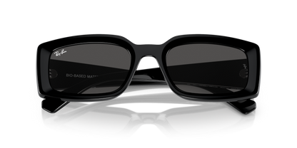 Black - 0RB4395 8056262052112