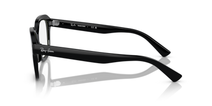 Black - 0RB4398 8056597859370