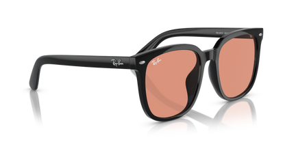 Black - 0RB4401D 8056262049846