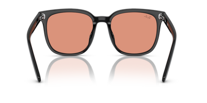 Black - 0RB4401D 8056262049846