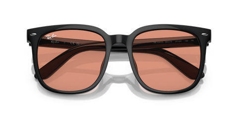 Black - 0RB4401D 8056262049846