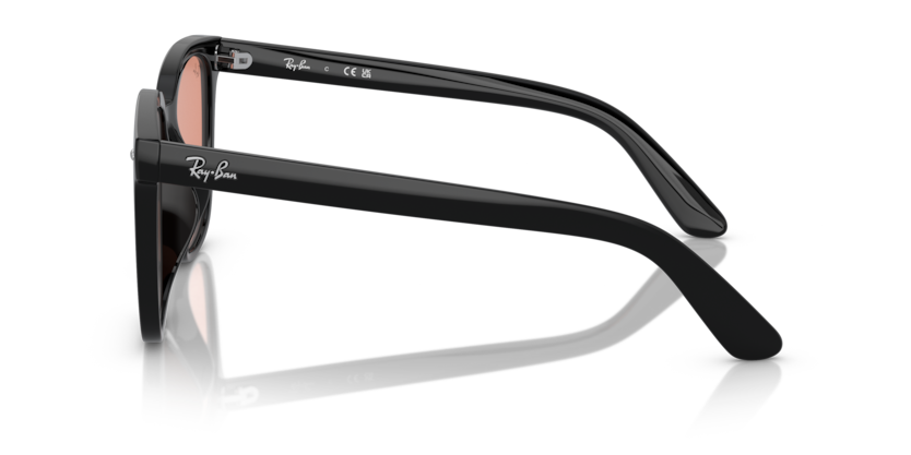 Black - 0RB4401D 8056262049846