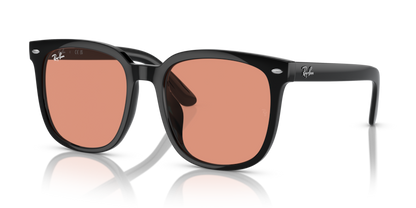 Black - 0RB4401D 8056262049846