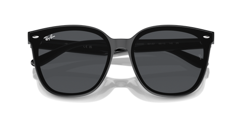 Black - 0RB4423D 8056262051603