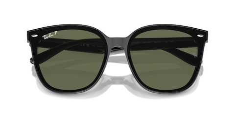 Black - 0RB4423D 8056262051610
