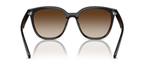 Transparent Brown - 0RB4423D 8056262051641