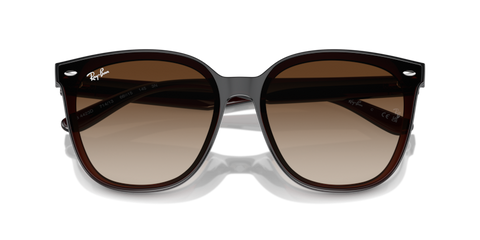 Transparent Brown - 0RB4423D 8056262051641