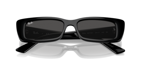 Black - 0RB4425 8056262016787