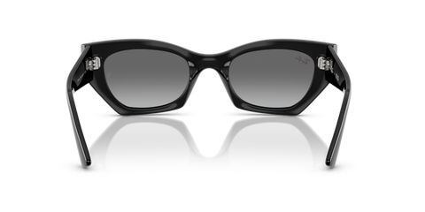 Black - 0RB4430 8056262475157