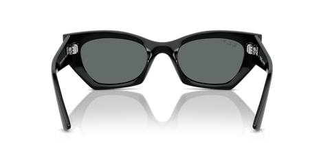 Black - 0RB4430 8056262142608