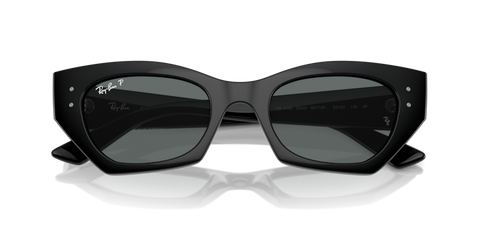Black - 0RB4430 8056262142608