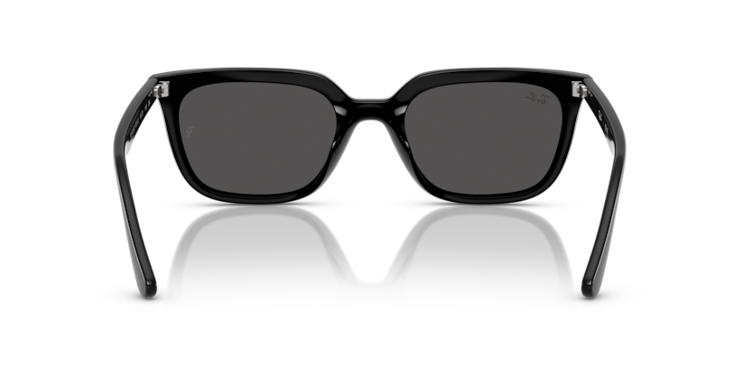 Black - 0RB4439D 8056262268971