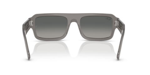 Transparent Grey - 0RB4454 8056262416389