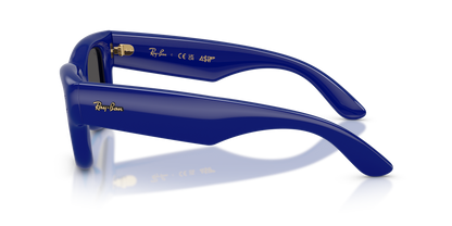 Ray-Ban RB4940 Blue 8056262664919