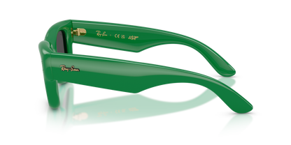 Ray-Ban RB4940 Green 8056262664926