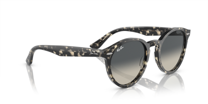 Grey Havana - 0RB7680S 8056597984843