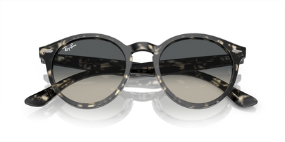 Grey Havana - 0RB7680S 8056597984843