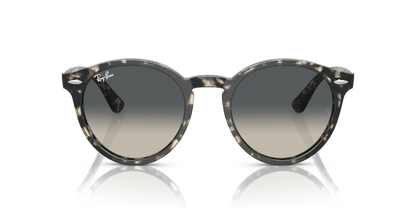 Grey Havana - 0RB7680S 8056597984843