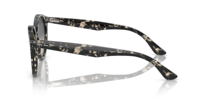 Grey Havana - 0RB7680S 8056597984843