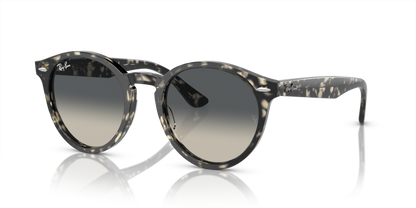 Grey Havana - 0RB7680S 8056597984843