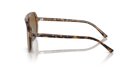 Havana On Transparent Brown - 0RJ9096S 8056597941136
