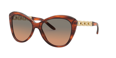  0RL8184 - Sunglasses -  Ralph Lauren -  Ardor Eyewear