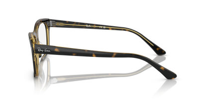 Havana On Transparent - 0RX5383 8056597858779