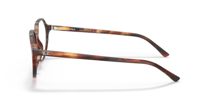 Striped Havana - 0RX5395 8056597364294