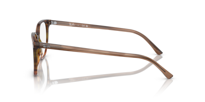 Striped Brown & Green - 0RX5397 8056597856522