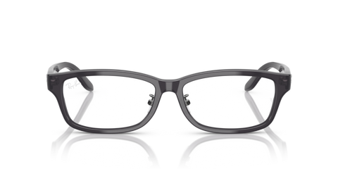 Transparent Dark Grey - 0RX5408D 8056262295694