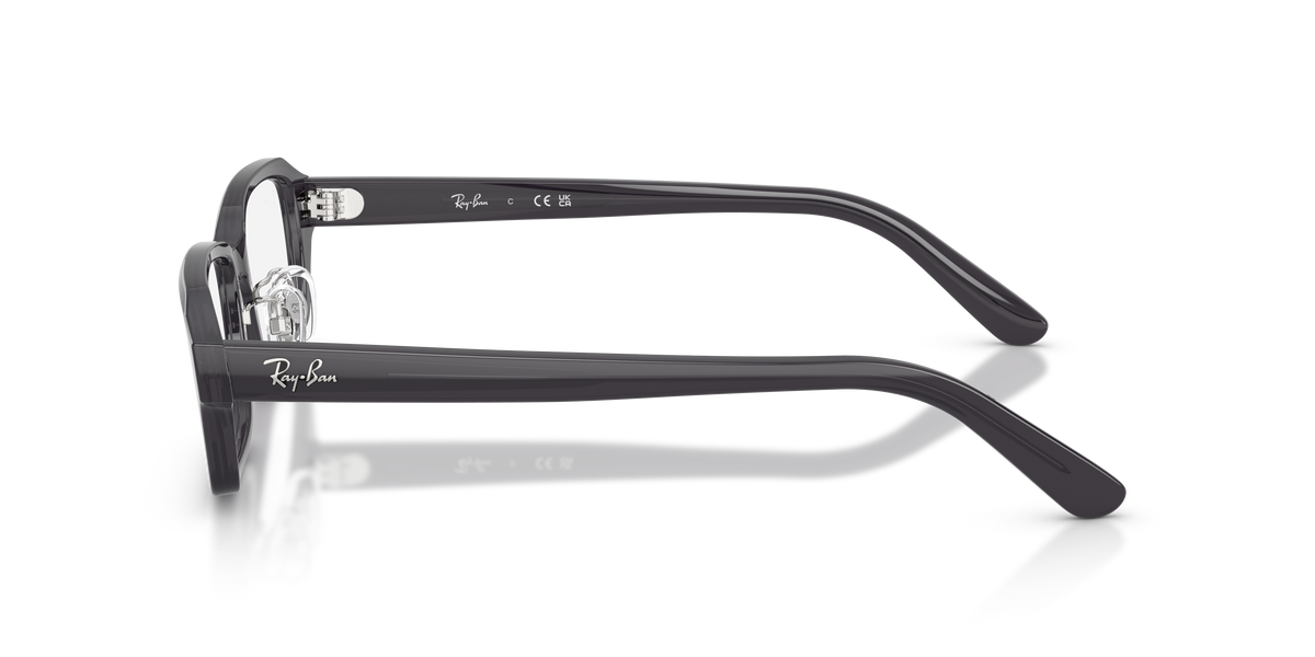 0RX5458D Transparent Grey side view image 2 barcode 8056266001253