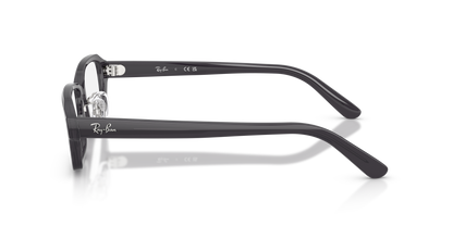 0RX5458D Transparent Grey side view image 2 barcode 8056266001253