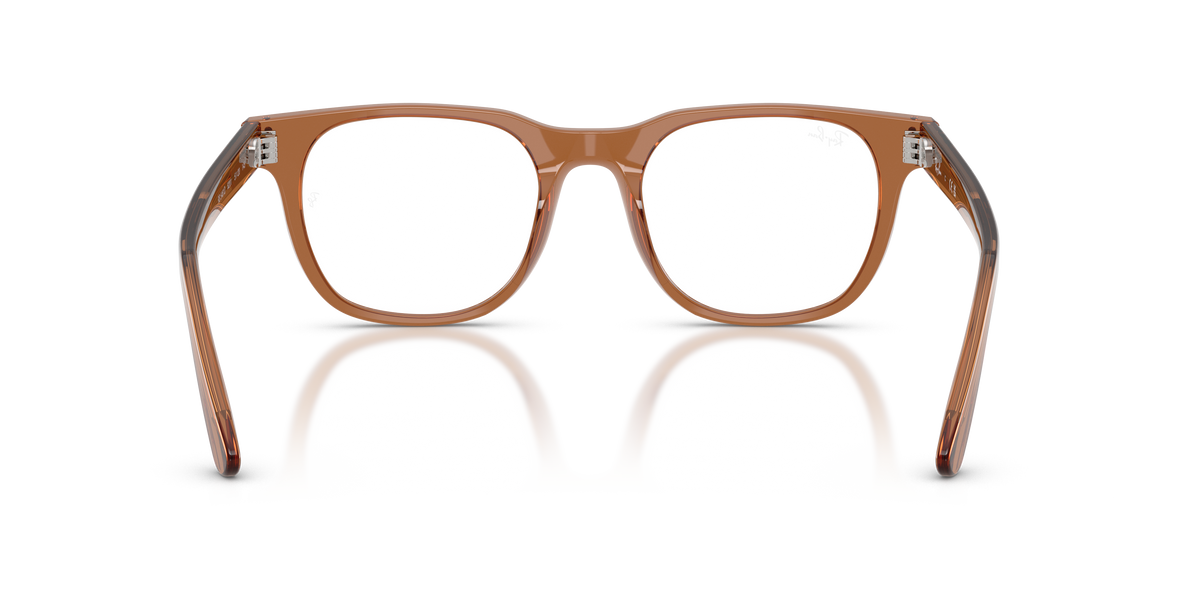0RX5461D Transparent Brown rear view image 3 barcode 8056266001123