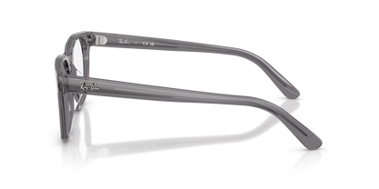0RX5461D Transparent Grey side view image 2 barcode 8056266001130