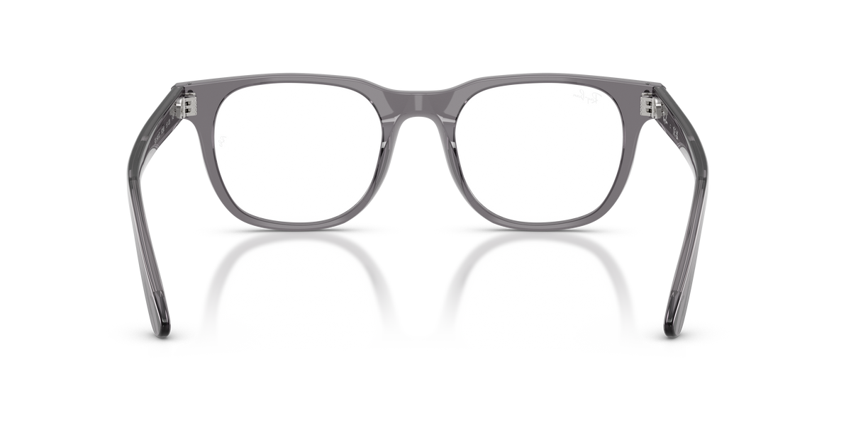 0RX5461D Transparent Grey rear view image 3 barcode 8056266001130