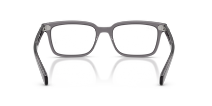 0RX5534 Transparent Grey rear view image 3 barcode 8056262968284