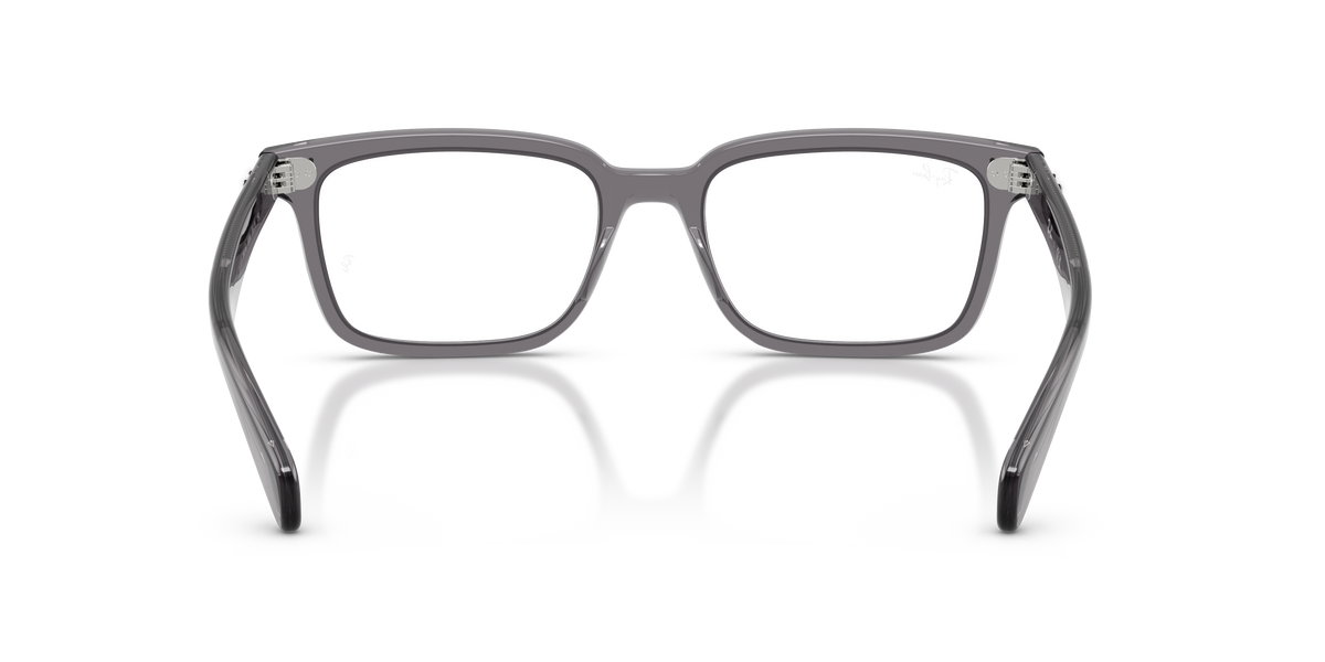 0RX5534 Transparent Grey rear view image 3 barcode 8056262968284