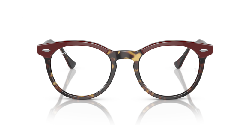 0RX5598 - Ray - Ban Vista - Tortoise - (Bordeaux On Yellow Havana 8250) - 49 - 21 - 145 MM - Ardor Eyewear 8056597827508