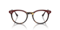 0RX5598 - Ray - Ban Vista - Tortoise - (Bordeaux On Yellow Havana 8250) - 49 - 21 - 145 MM - Ardor Eyewear 8056597827508