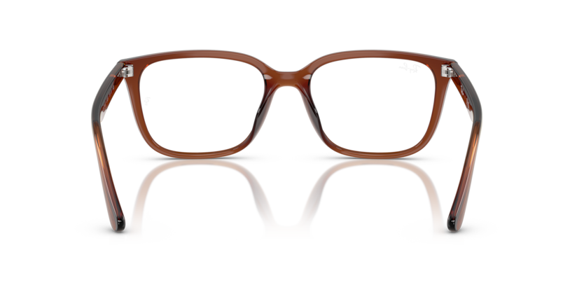 Transparent Brown - 0RX7248D 8056262268537