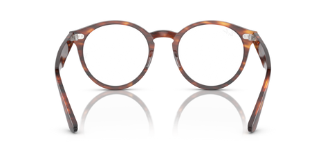 Striped Havana - 0RX7680V 8056597954488