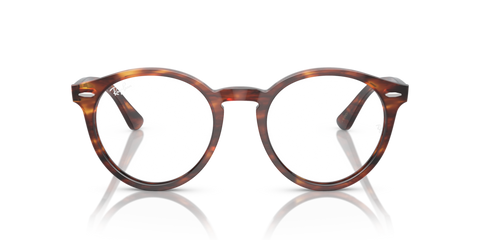 Striped Havana - 0RX7680V 8056597954488