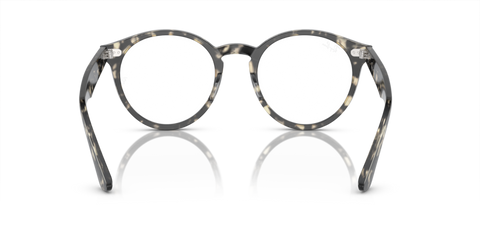 Grey Havana - 0RX7680V 8056597954549