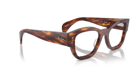 Striped Havana - 0RX7681V 8056262037683