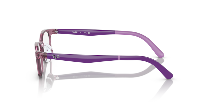 Transparent Purple - 0RY1613D 8056597848367