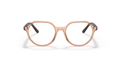 Transparent Brown - 0RY9095V - 8056597666015