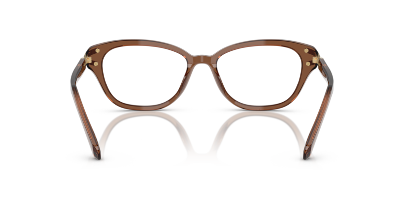 Transparent Brown - 0SK2032 8056262230671