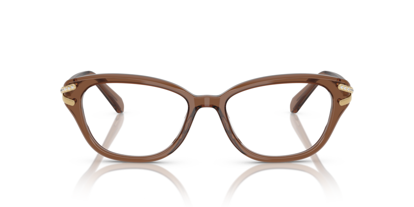 Transparent Brown - 0SK2032 8056262230671